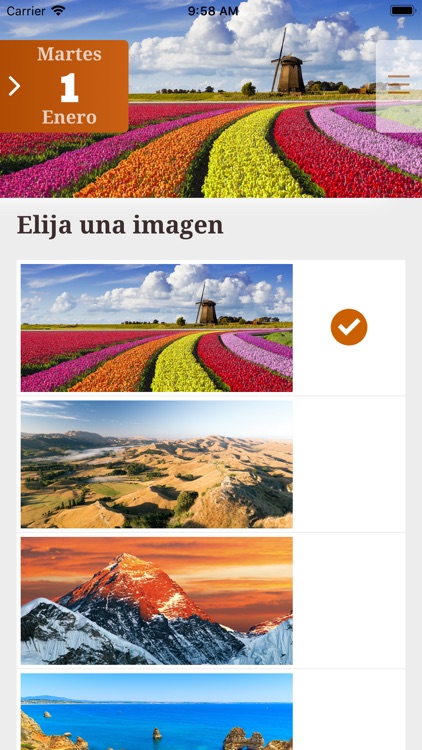 La Buena Semilla 2019