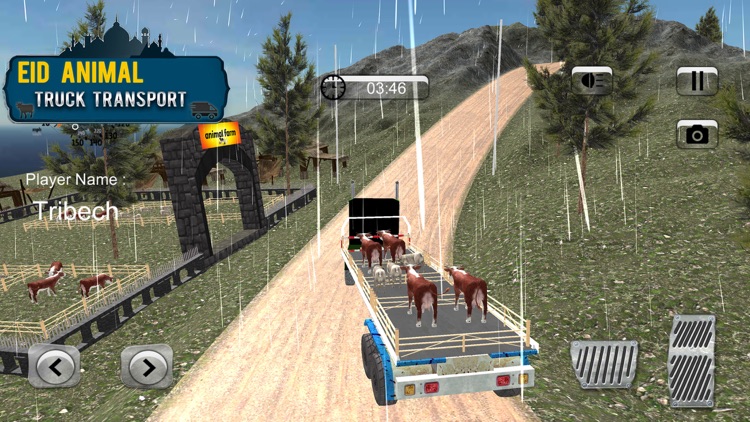 Eid Animal Truck Transport