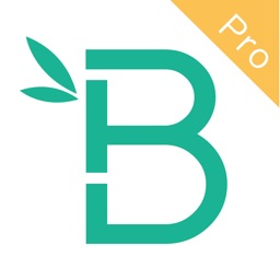 班步Pro