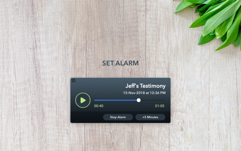 Voice Memo Screenshot
