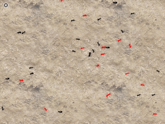 Sights and Sounds: Ants(圖3)-速報App