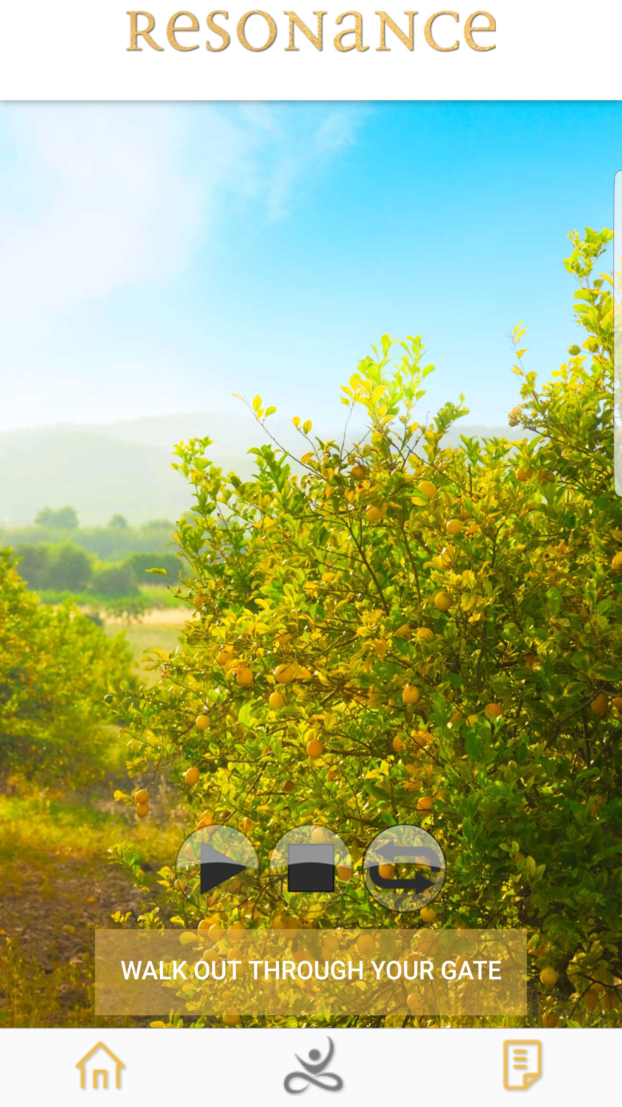 Resonance Meditations screenshot 5