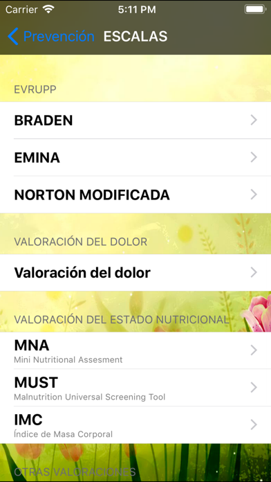 App screenshot