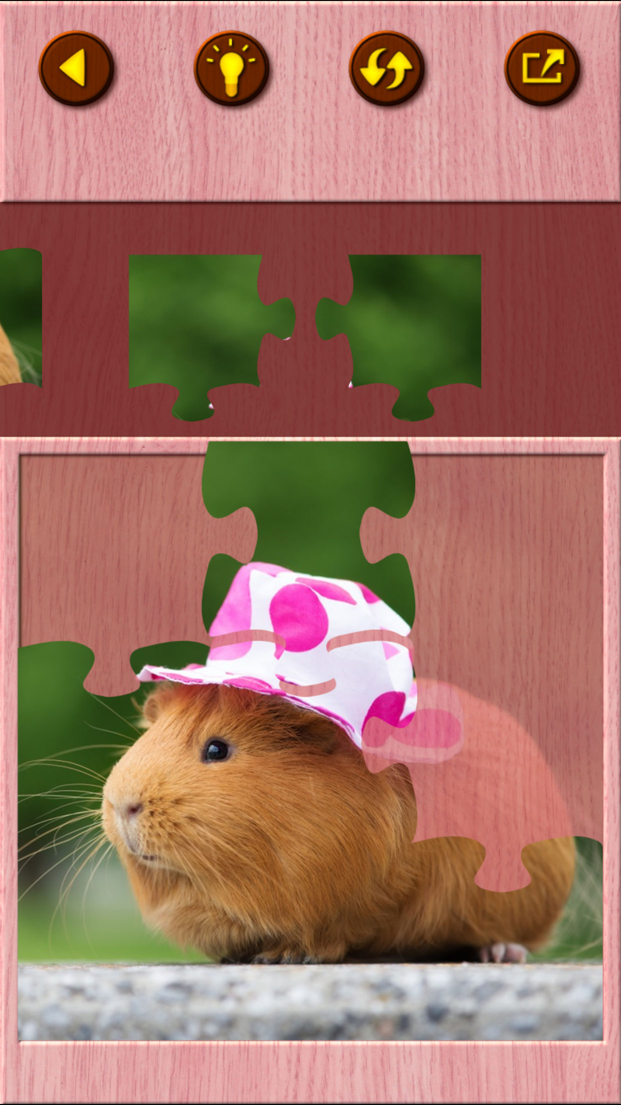 Guinea Pig Jigsaw Puzzle Games screenshot 6