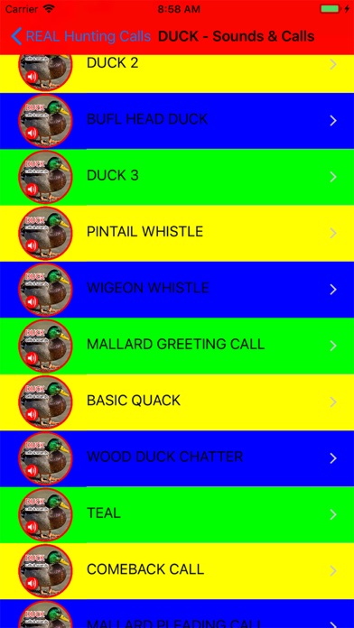 2000+ Animal Sounds Calls Screenshot