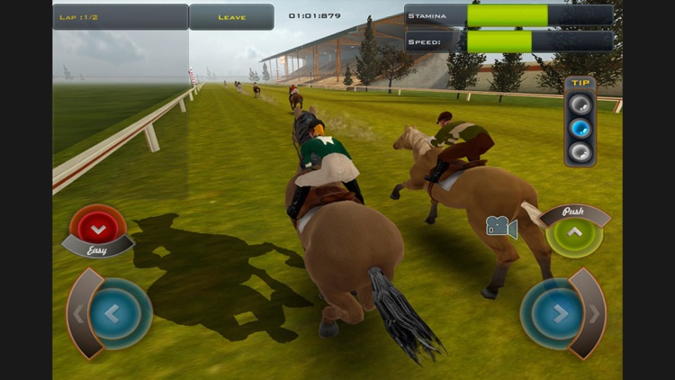 Race Horses Champions 2