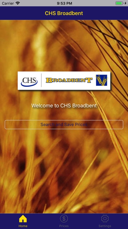 CHS Broadbent
