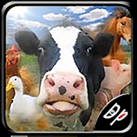 Course d'animaux de la ferme pour PC