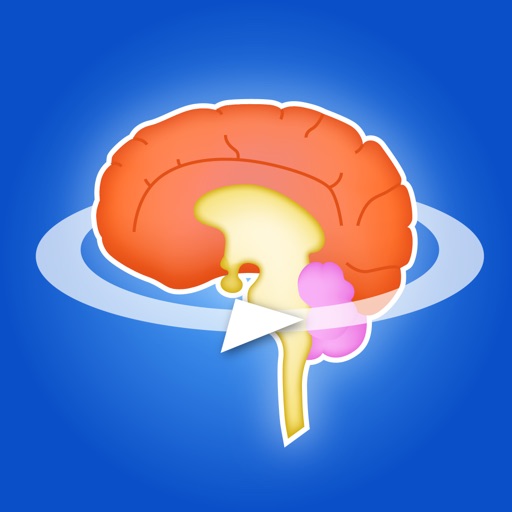 脳血管3Dアトラス　