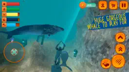 Game screenshot Hump Back Whale Ocean Sim mod apk