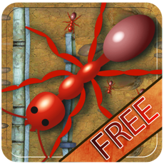 Activities of Ant colony Kingdom - Bang the ants house & infest the place with insects - Free Edition