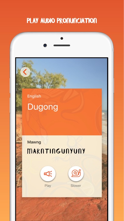 Warruwi - Learn Mawng Language