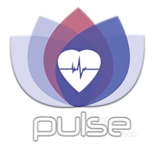 Pulse Program