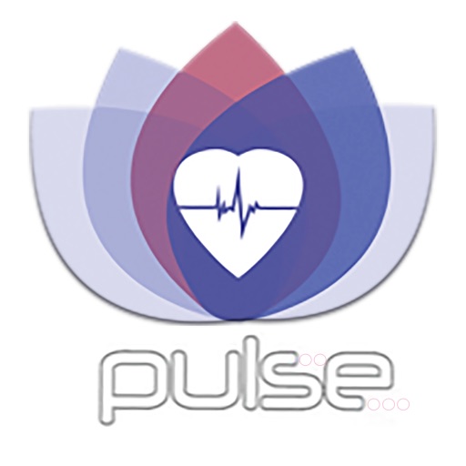 Pulse Program