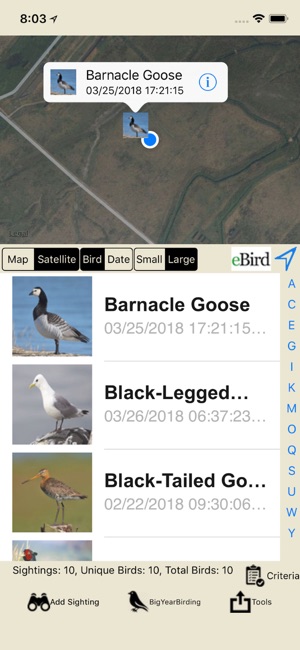 Big Year Birding GB(圖1)-速報App