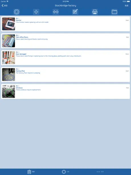 Snag List - 审核和报告