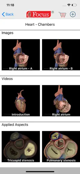 Game screenshot HEART -  Digital Anatomy hack