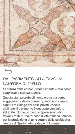 Game screenshot Villa dei mosaici di Spello hack