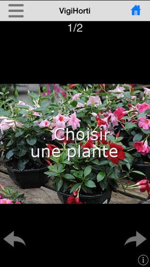 VigiHorti(圖2)-速報App
