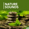 1000 Nature Sleep Relax Sounds - iPhoneアプリ