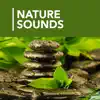 1000 Nature Sleep Relax Sounds App Feedback