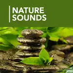 1000 Nature Sleep Relax Sounds App Problems