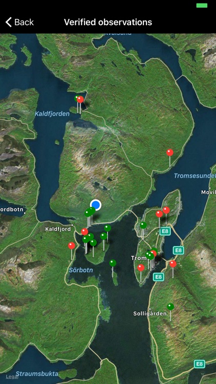 Målerjakt - Moth Hunt