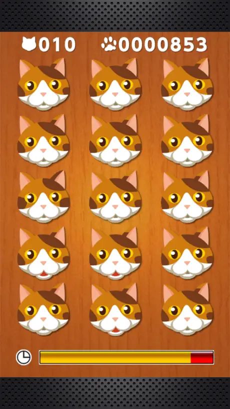 Odd Cat Out