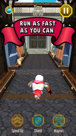 Game screenshot Templar Maze Run apk