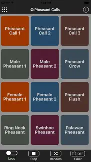 pheasant calls iphone screenshot 1