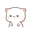 Kitty - Gif Cat Sticker Lovers app icon - Stickers app for iPhone