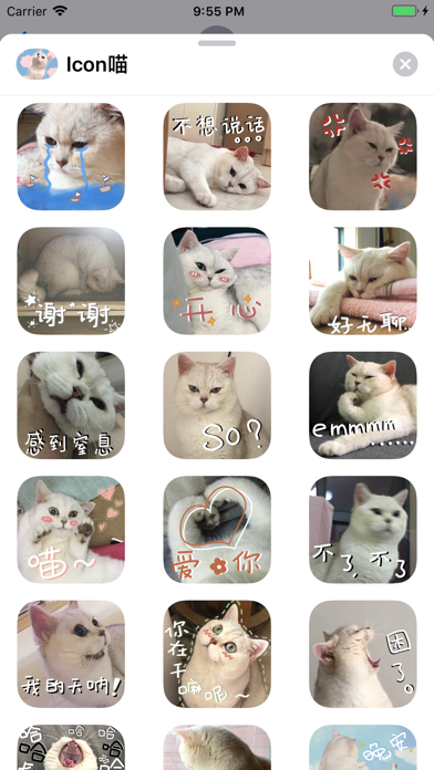 Icon喵～ iPhone screenshot 1 - Social Networking app