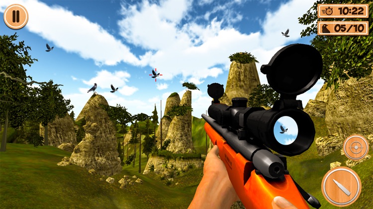 Crow hunting Adventure