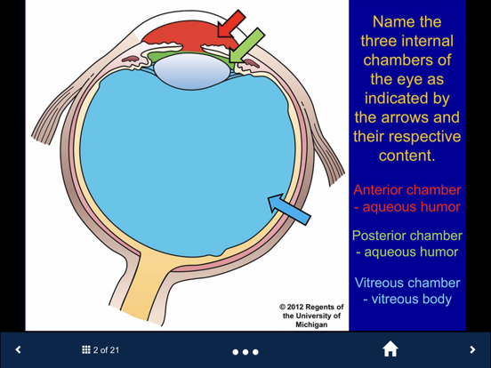 Histology Complete -SecondLookのおすすめ画像5