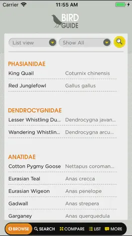 Game screenshot Birds of Singapore mod apk