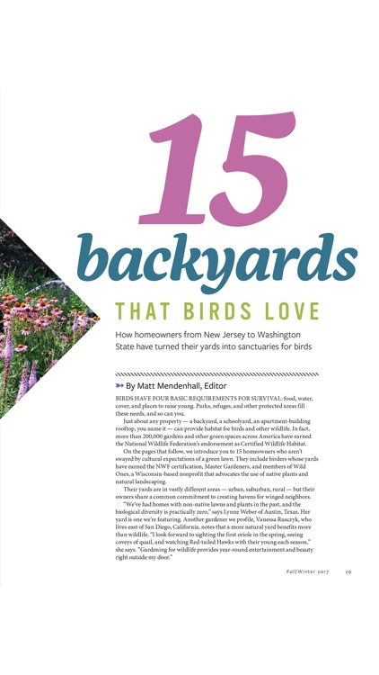 Ultimate Guide to Birdwatching screenshot-3