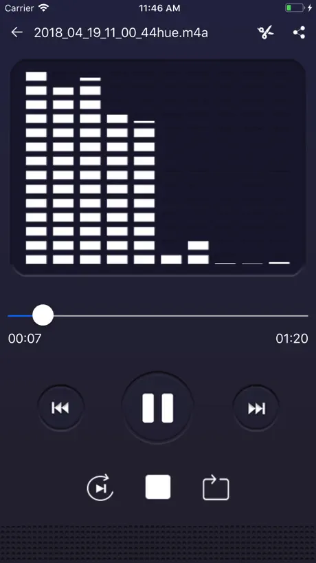 Voice recorder: Audio editor