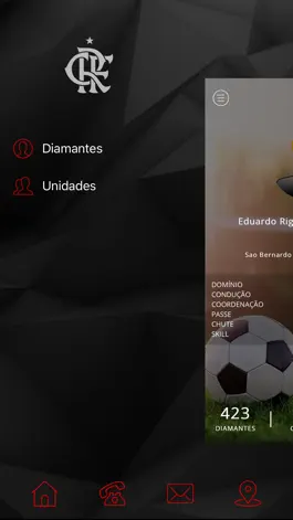 Game screenshot Flamengo Diretor apk