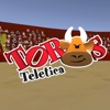 Toros Teletica