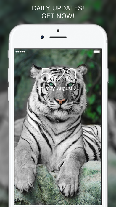 Everpix Pro - HD Wallpapers Screenshot