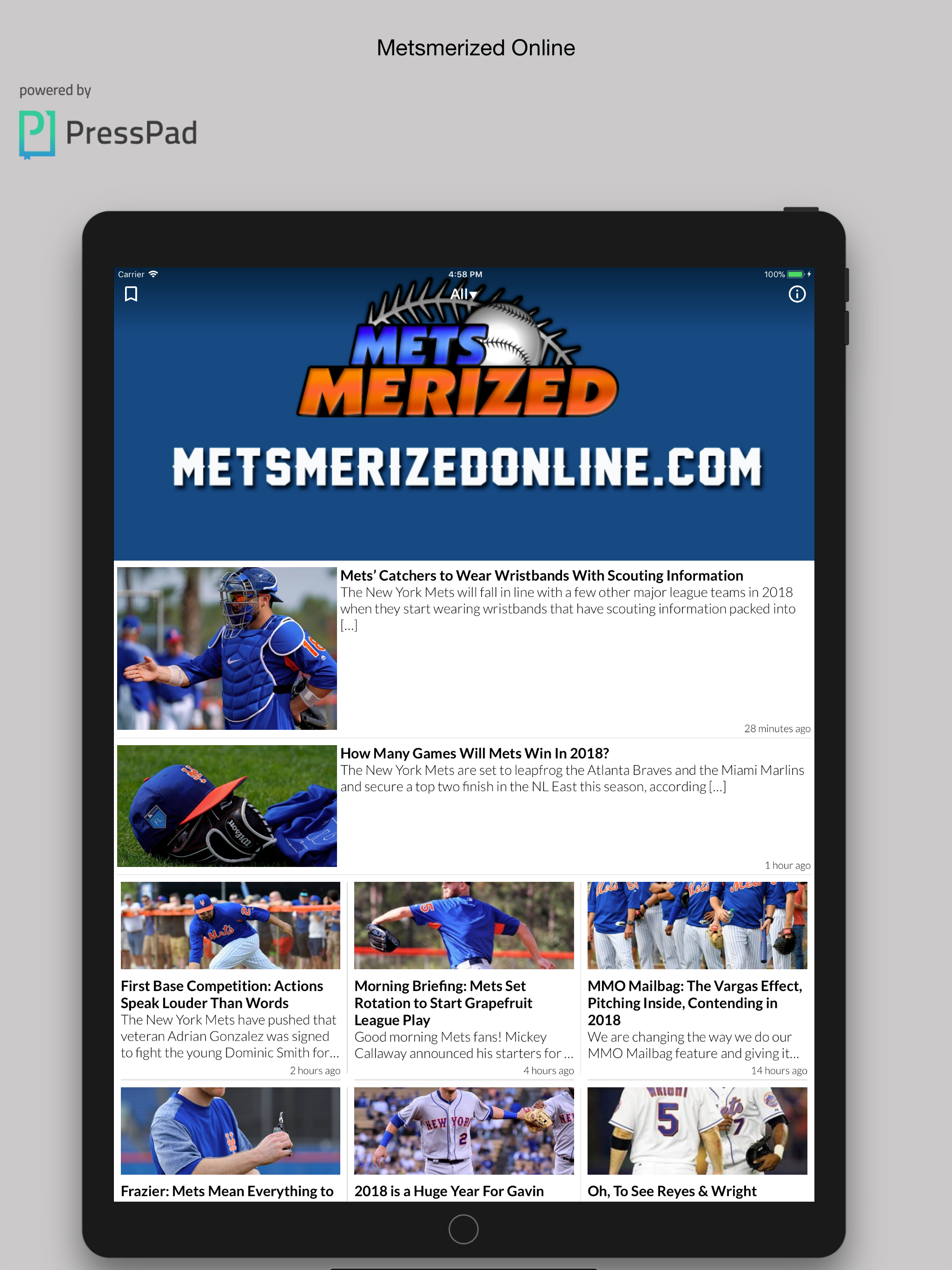 Metsmerized Online screenshot 4