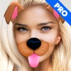 Doggy Face Photo Pro