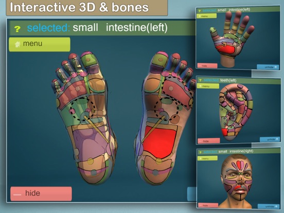 Total Reflexology-3D iPad app afbeelding 4