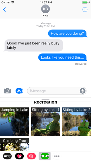 Frog GIFs
