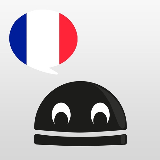 Learn French Verbs icon