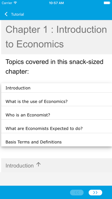 Economics, Sales & Marketing iPhone screenshot 4 - Education app