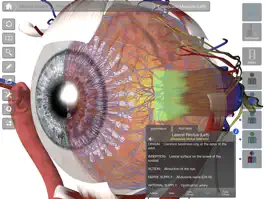 Game screenshot Essential Eye apk
