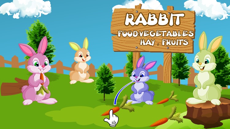 Wonder Animal Pretend Zoo