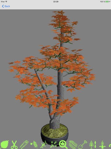 Bonsai Masterのおすすめ画像4