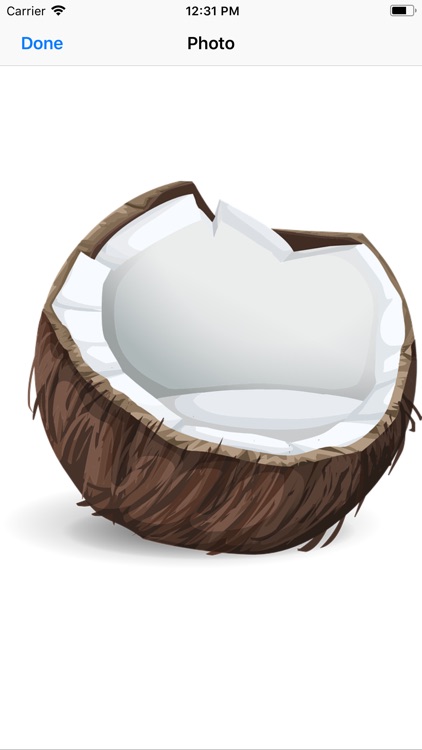 Coconut Stickers